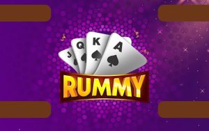 rummy expert